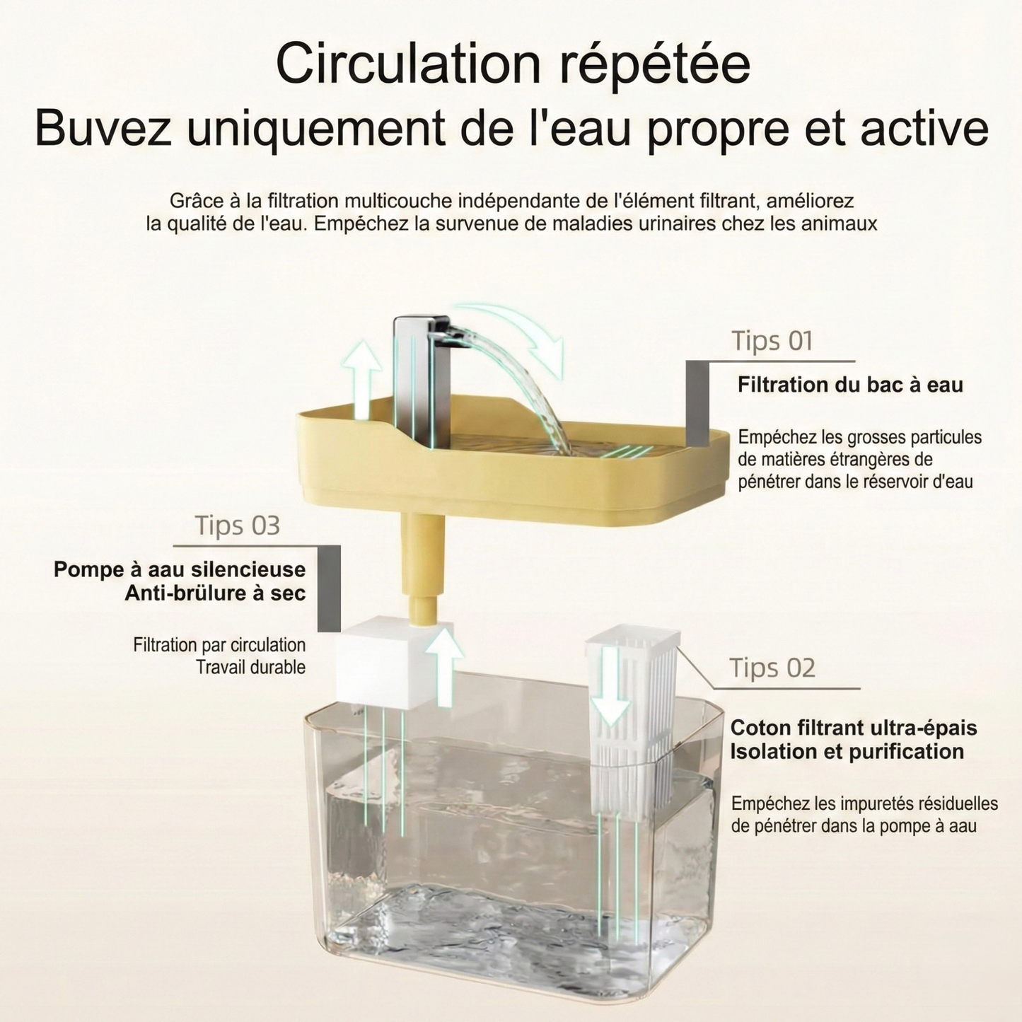 Fontaine Pure : Sans BPA – Hydratation naturelle