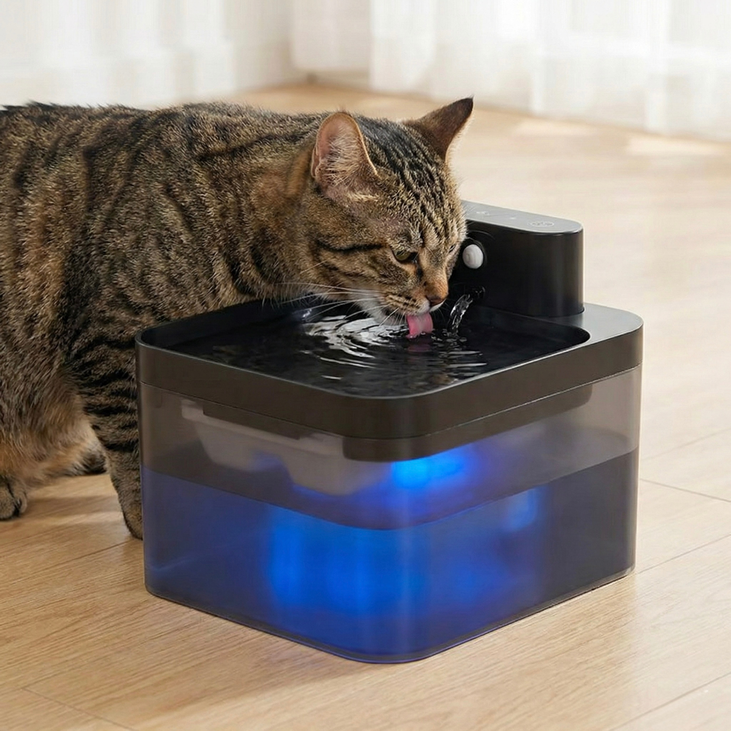 Fontaine zen : ultra silencieuse sans fil pour chats sensibles